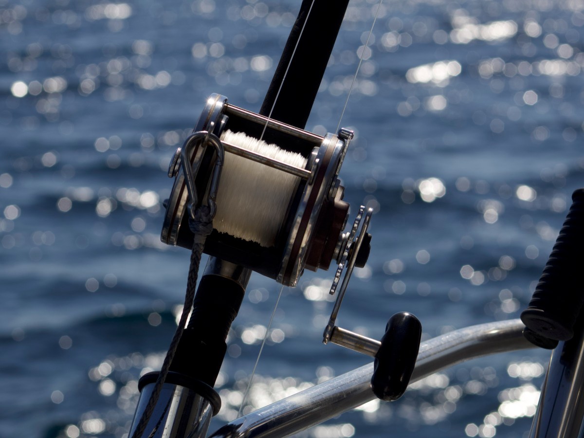 Nosotros y la&nbsp;pesca